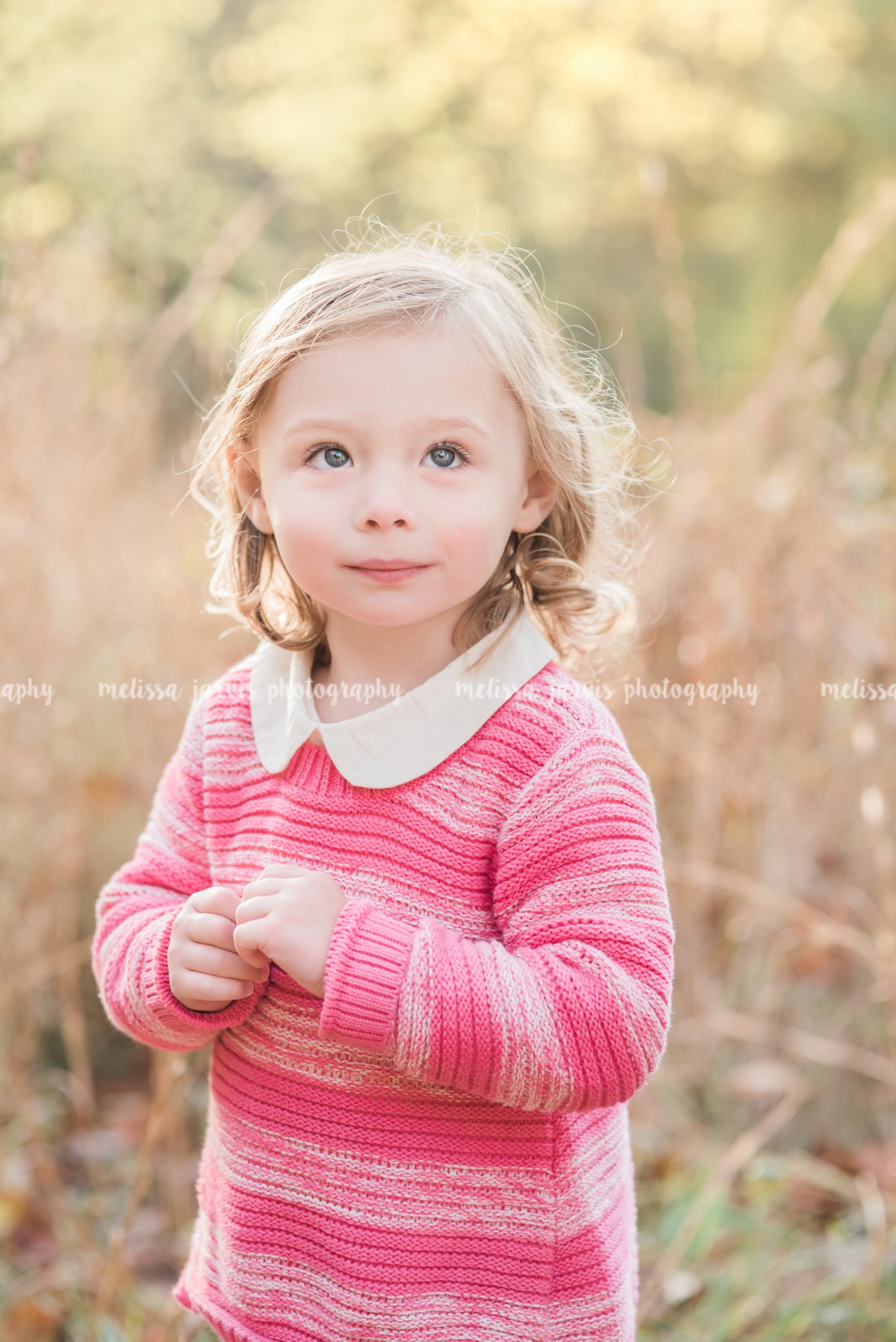 The H Family- Pittsburgh Fall Mini Session, Cranberry Township Family Pictures