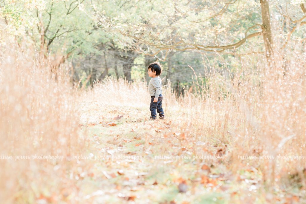 pittsburgh-fall-mini-session-cranberry-twp-melissa-jarvis-5