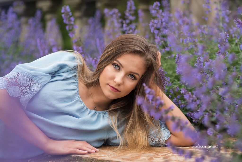 high school senior lays in field of purple flowers during senior pictures in cranberry twp pa